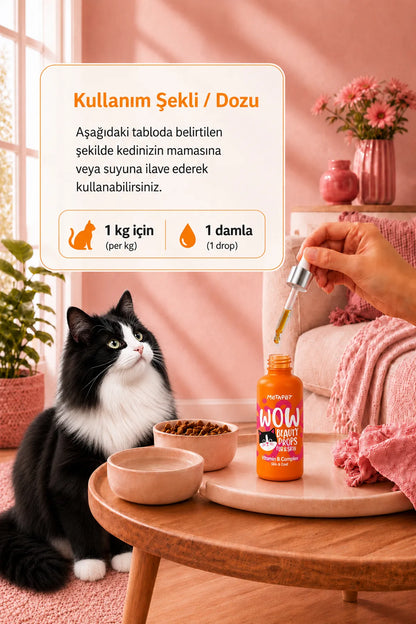 Biotin ve çinko içeren kedi tüy vitamini
