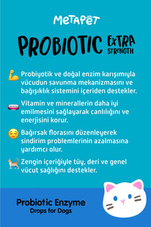 Kediler için probiyotik enzim damla