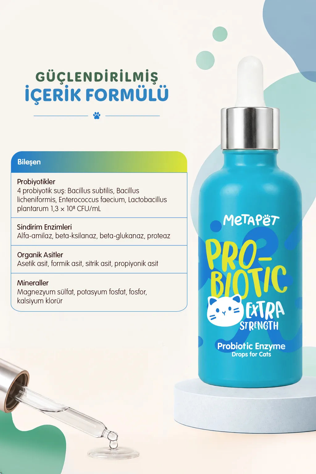 Kedi bağırsak florası ve sindirim desteği