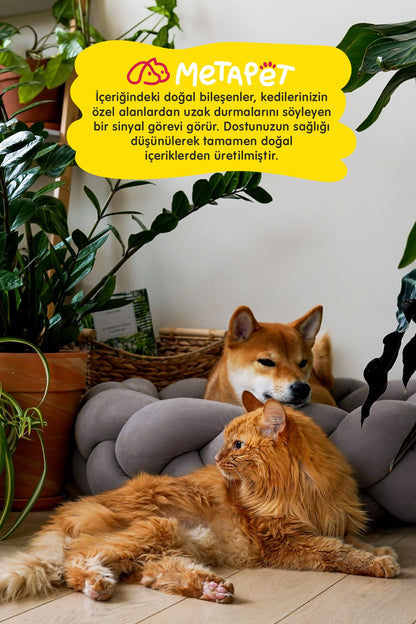 Doğal Kedi ve Köpek Uzaklaştırıcı Eğitim Spreyi