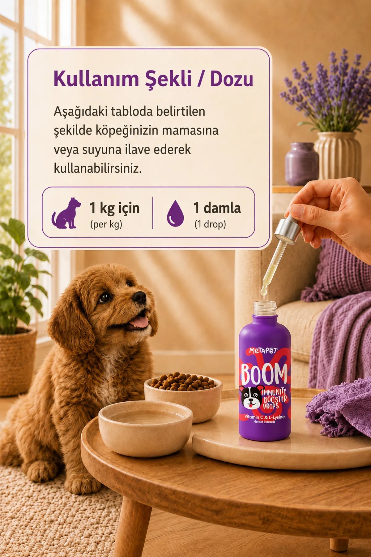 Yavru köpekler için günlük bağışıklık desteği