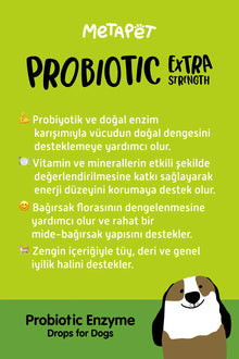 Köpek probiyotik damla ile günlük bağırsak florası desteği