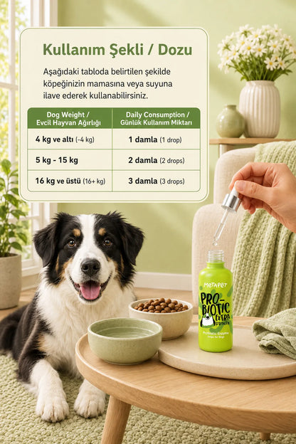 Köpek bağırsak sağlığı ve flora bakımını destekleyen probiyotik