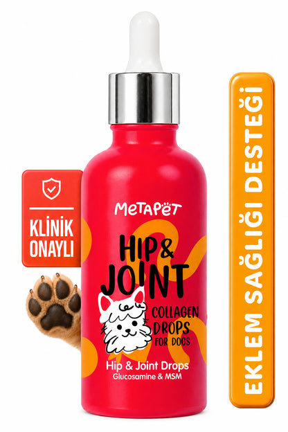 Köpekler için eklem destekleyici glukozamin damlası 50 ml