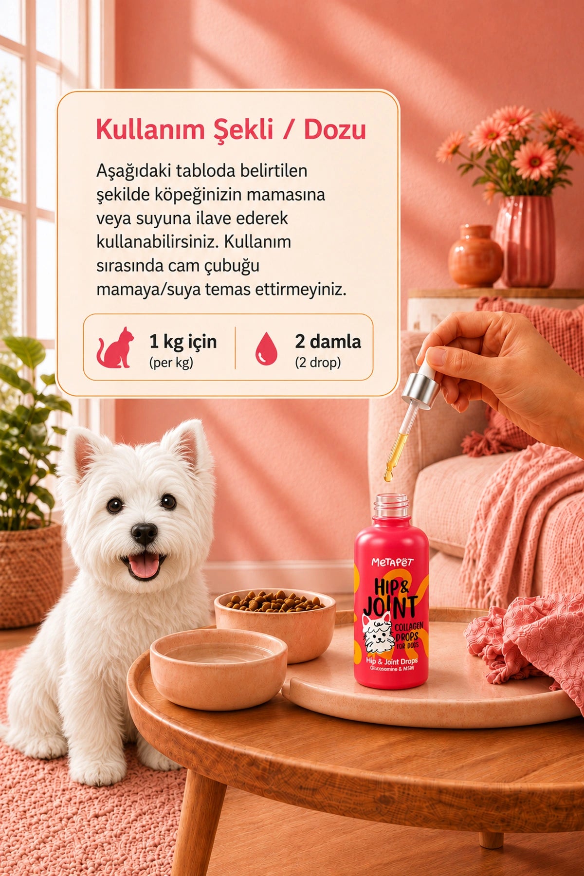 Köpek eklem sağlığı ve günlük hareket desteği damlası