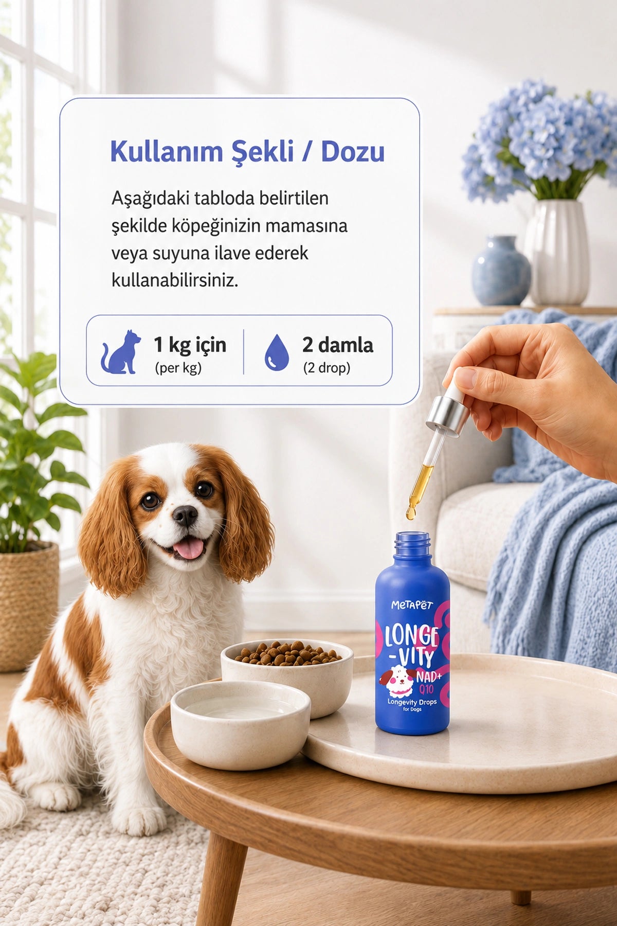 Köpek vitamini ve günlük genel sağlık desteği damlası