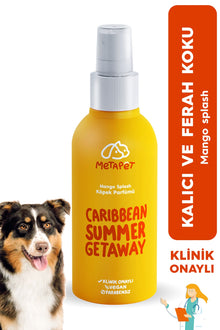 Doğal Köpek Parfümü - Mango Ferahlığı